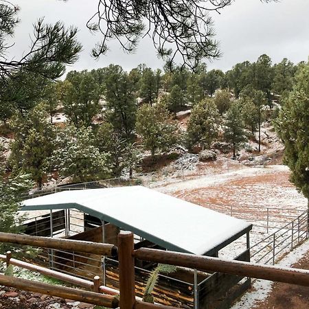 Multi-Family Rocking Horse Ranch With Sauna! Payson Exterior photo
